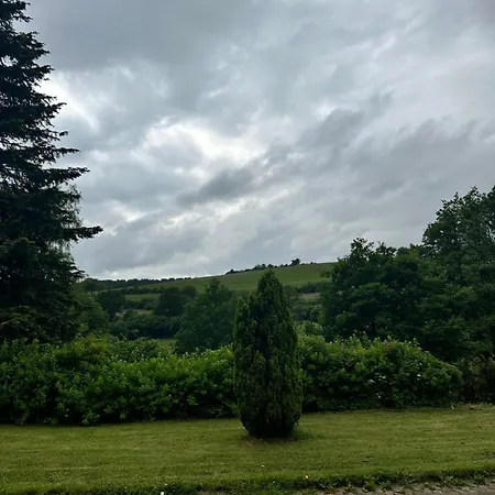 Morgenbluete * Gondenbrett