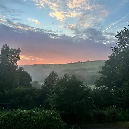 Morgenbluete