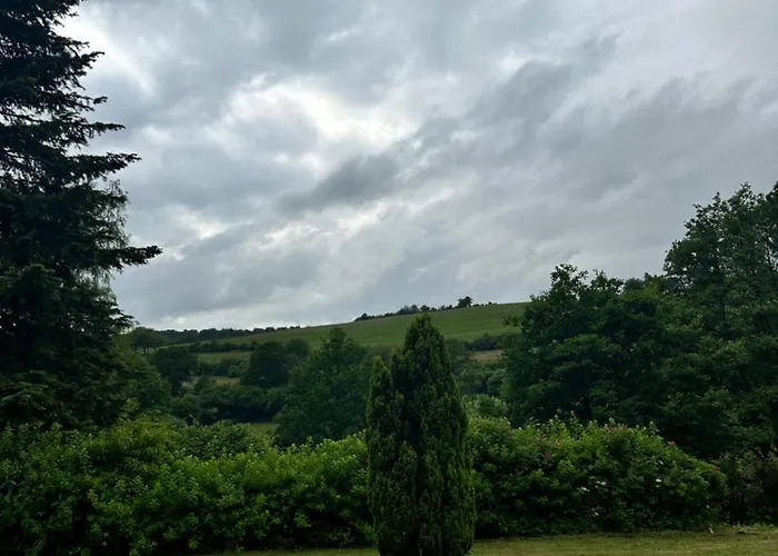 Morgenbluete * Gondenbrett