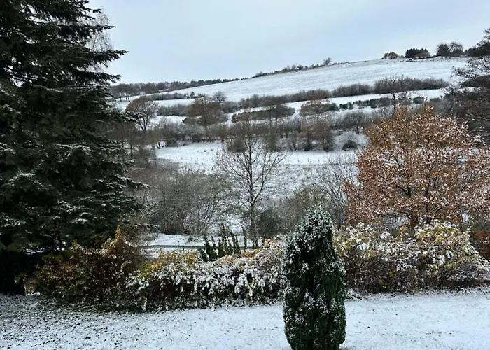 Apartment Morgenblüte